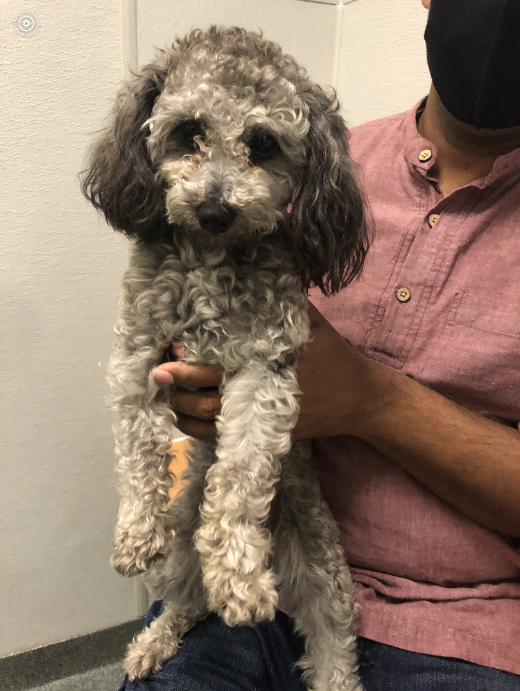 60be62b91639b 2726745B 163A 4ED3 A885 529E14668055