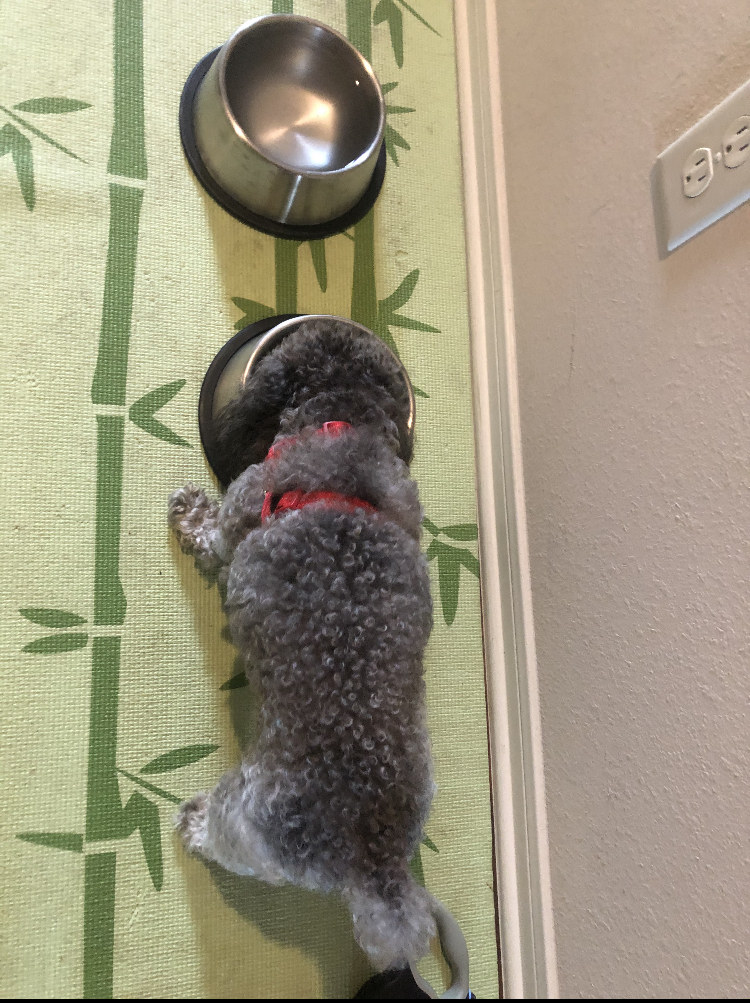 60be62b91e13f BB51AF2B F3F8 4A34 9B6E 27679CB5A281