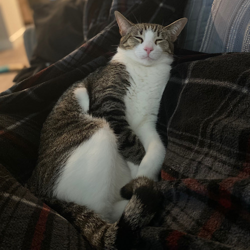 60be62b91e13f BB51AF2B F3F8 4A34 9B6E 27679CB5A281