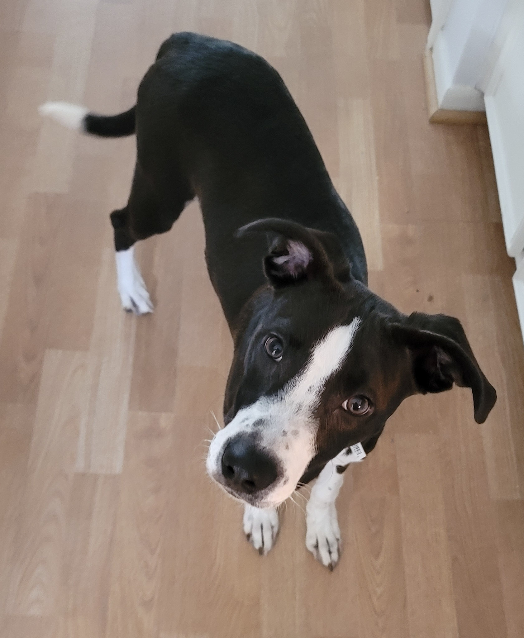 60edb5bd78979 20210612 181021