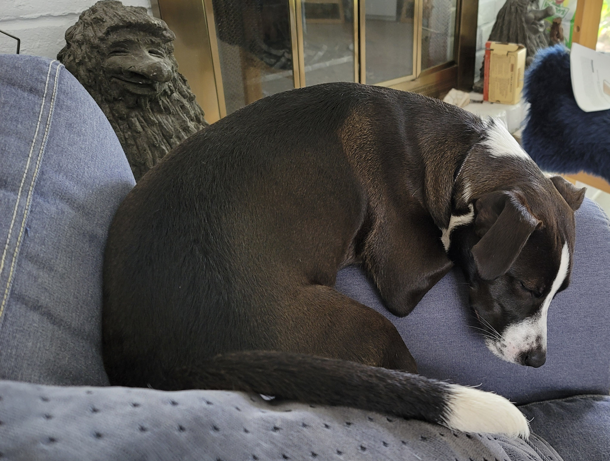 60edb5bd8848f 20210627 124257