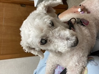 60ef9bfb6b968 FA7B8E13 7B47 4C8A BB24 37EAD9BB09CE