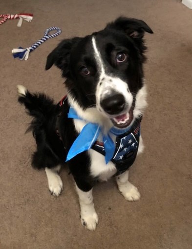 6126f900ab15c 61AE8FEC 38D3 4741 8D61 F2CAF95AC04A