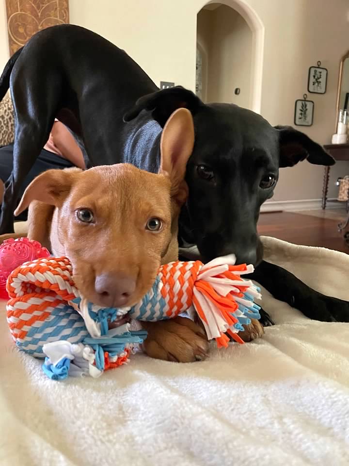 616c50b663c0d 757DD0FF A234 41EA 9362 AE52551331AA