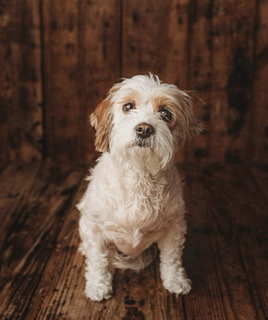 616c5ab6674a6 B9DFB7FD 8D5D 421D 889B 303FDCFFA922