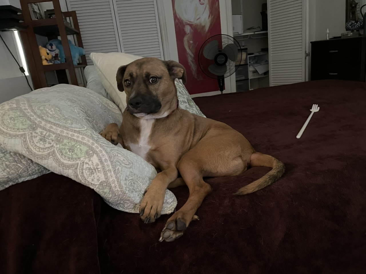 616f549b2db5c A2A124DF 16F5 4FB0 ABA6 65A35073ECEE