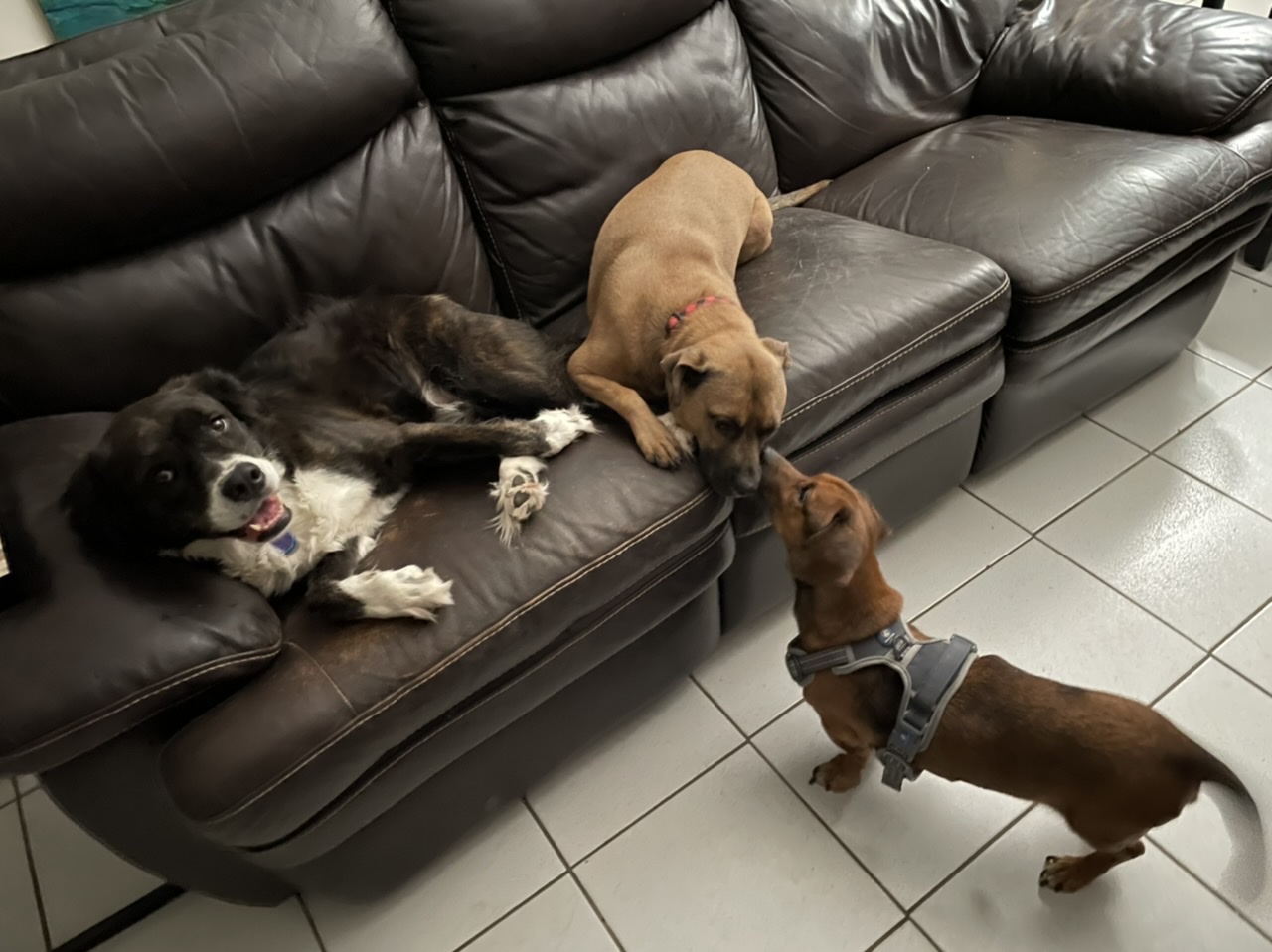 616f549b34016 5CB05687 F154 437C A103 84DFC4F520EE