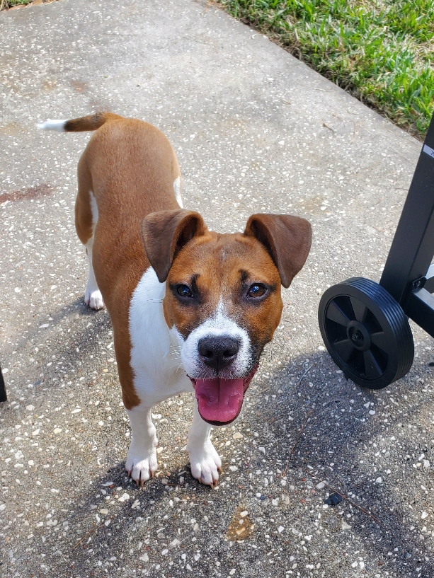 61d8fefac1038 Picsart 22 01 07 20 57 04 010 copy 613x817