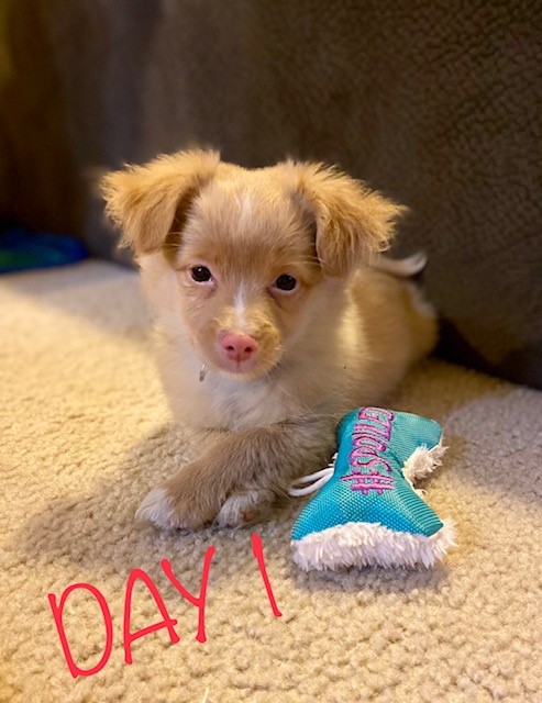 61dc667c40cf3 Bear 3