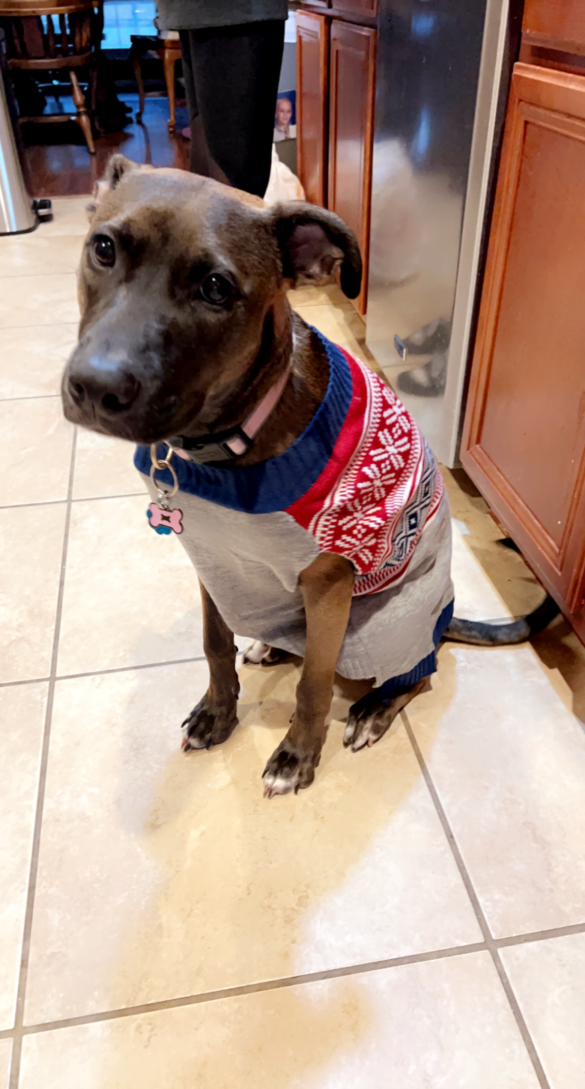 6231521519bae A6ADB9E6 34D0 40AE 823D C140058A2890