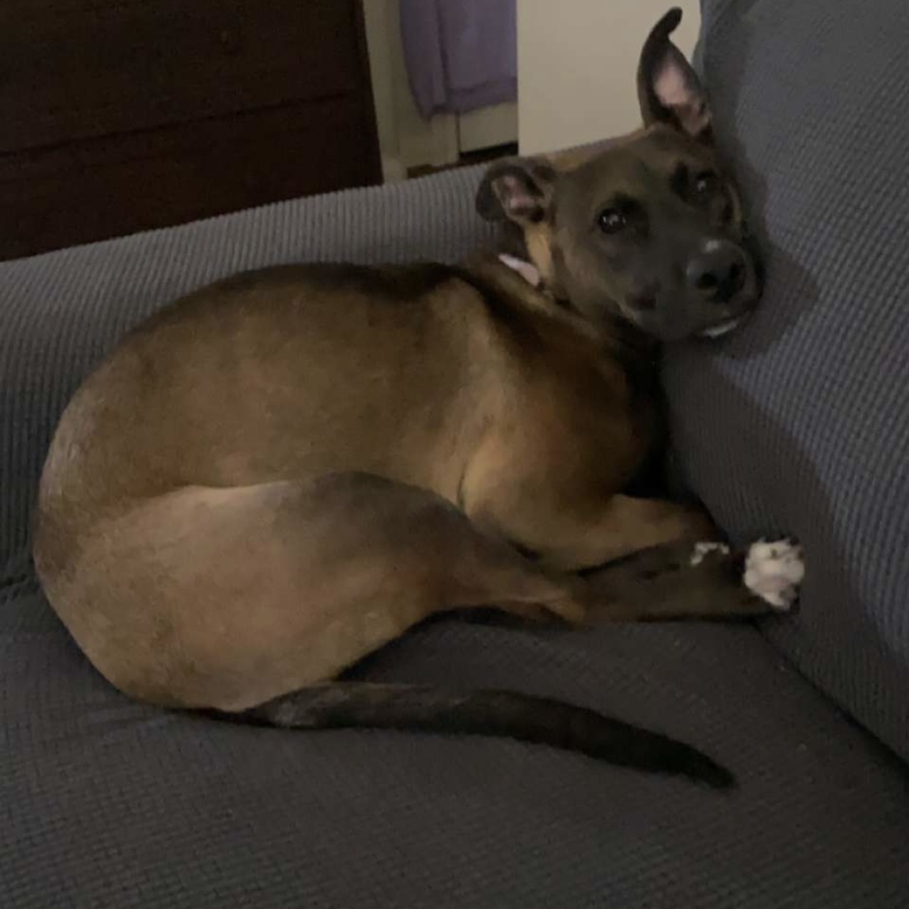 623152152367b 2F1437DD AEFF 4D83 AB7A 376CE538FA1A