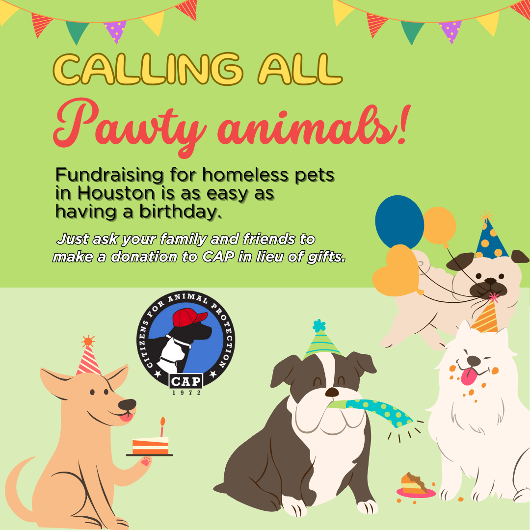 Birthday Fundraiser 3