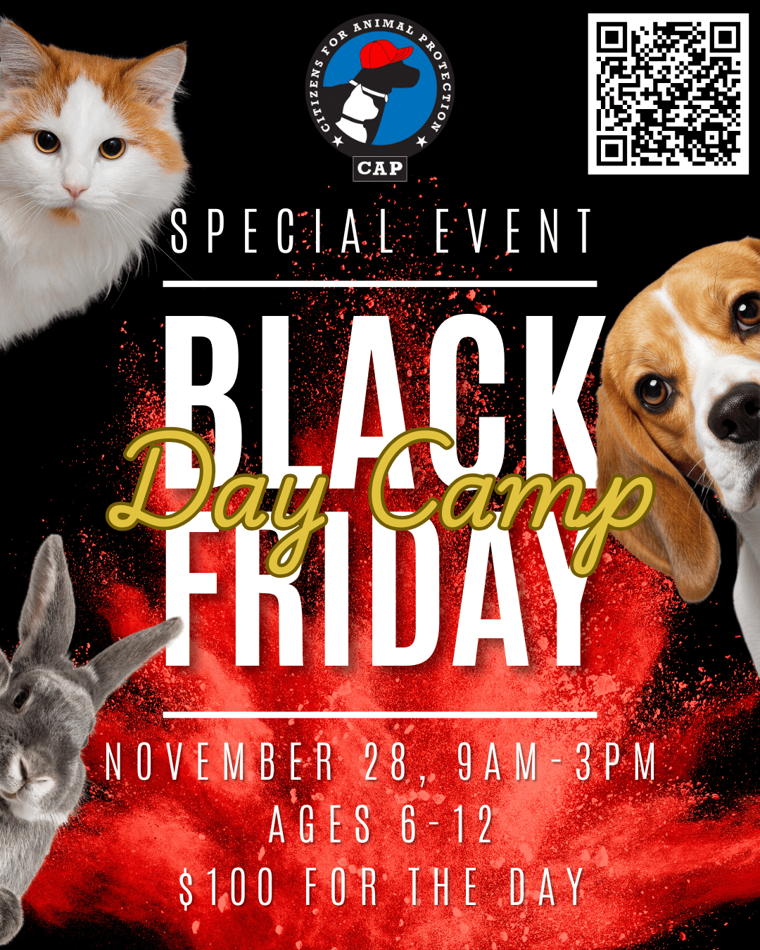 Copy of No Ball at all 11 x 8.5 in 1