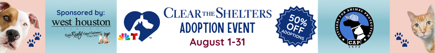 Clear the Shelters