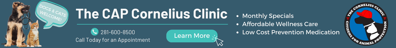 Clinic Banner