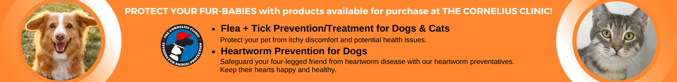 Clinic Banner Evergreen