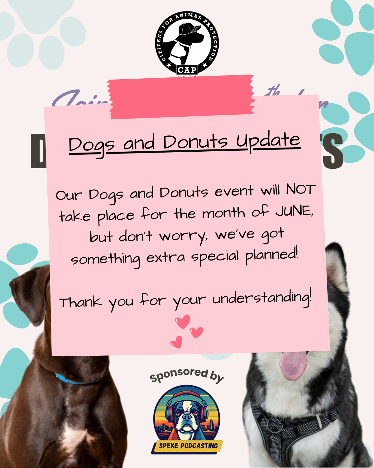 Dogs and Donuts 6