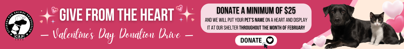 Valentine's/Feb Donation Drive