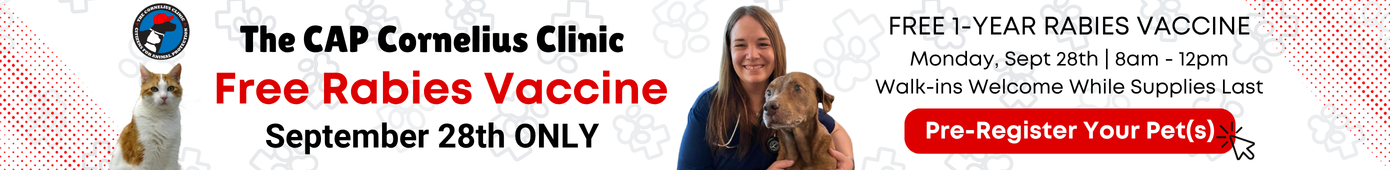 Free Rabies Vaccine 2026