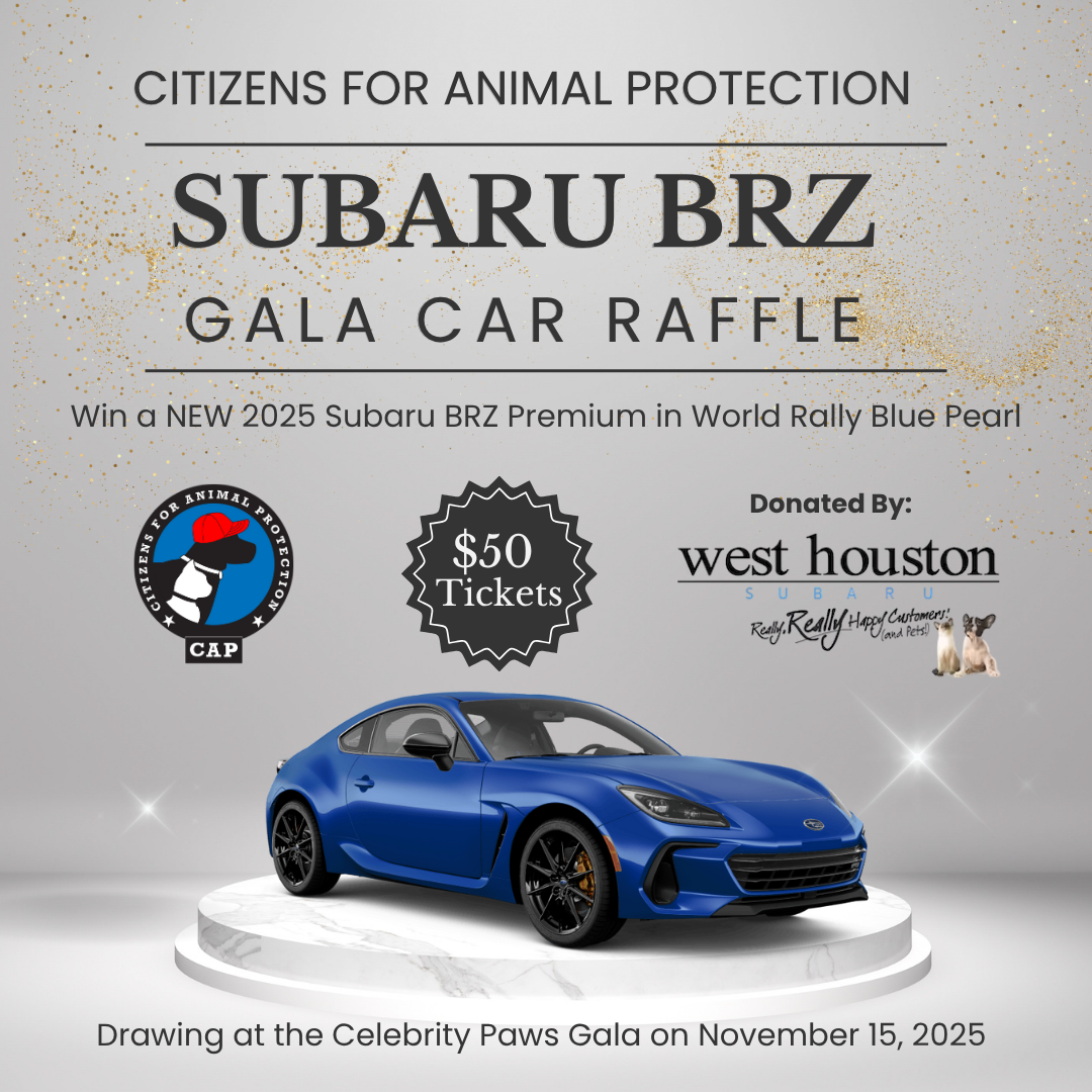 Gala Car Raffle
