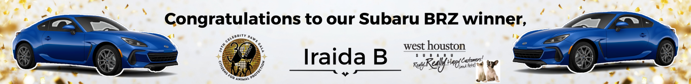 Subaru BRZ Winner 2025