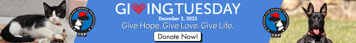 Giving Tuesday 2025