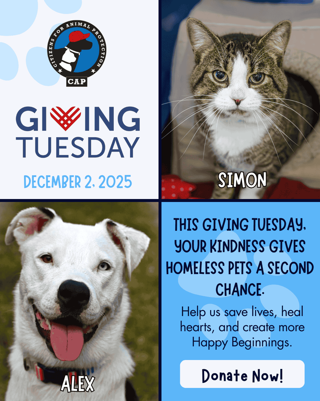 Giving Tuesday 2025 3