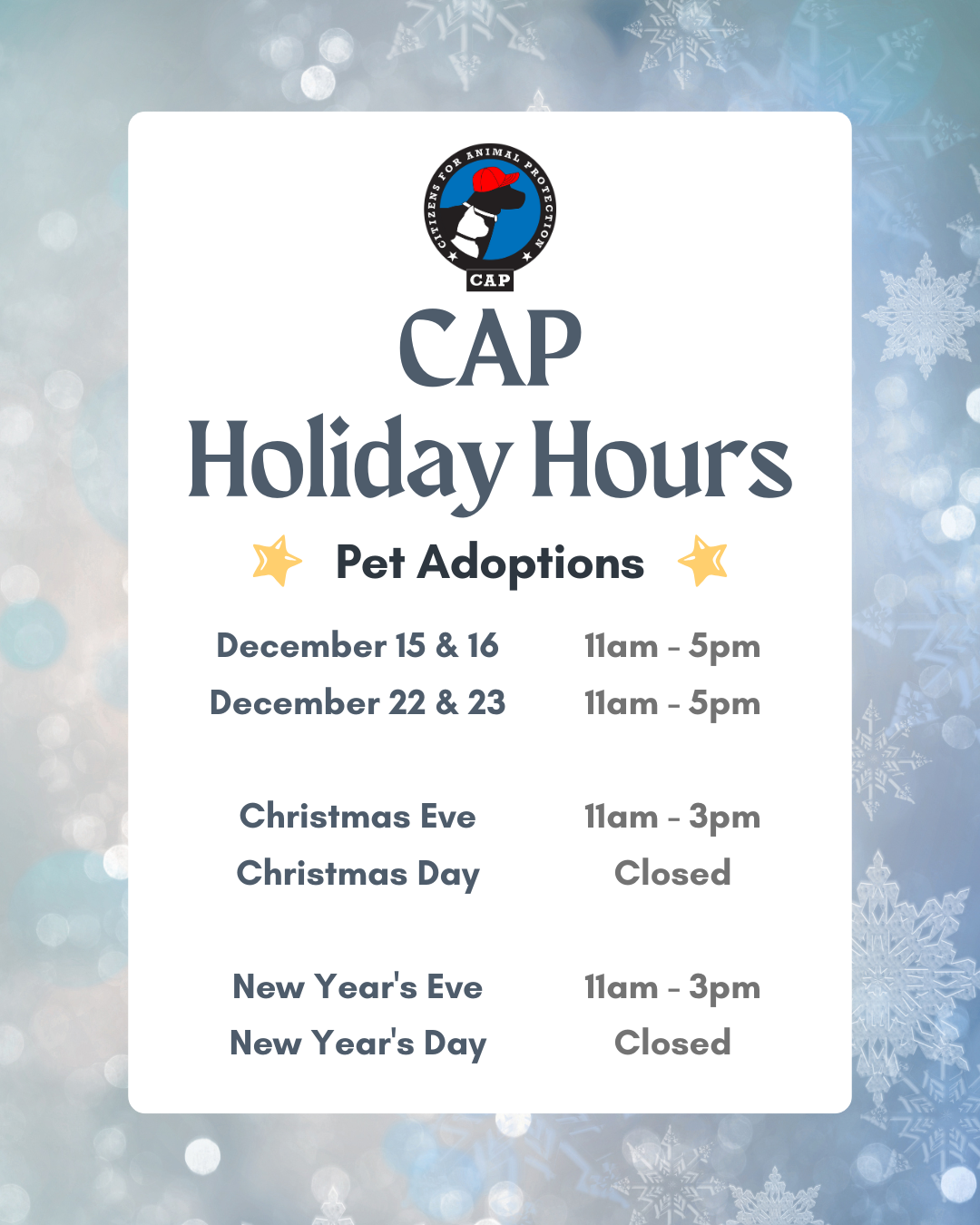 Holiday Hours Instagram Post 45 3