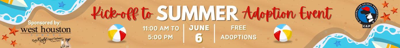 Kick-Off to Summer Adoption Event