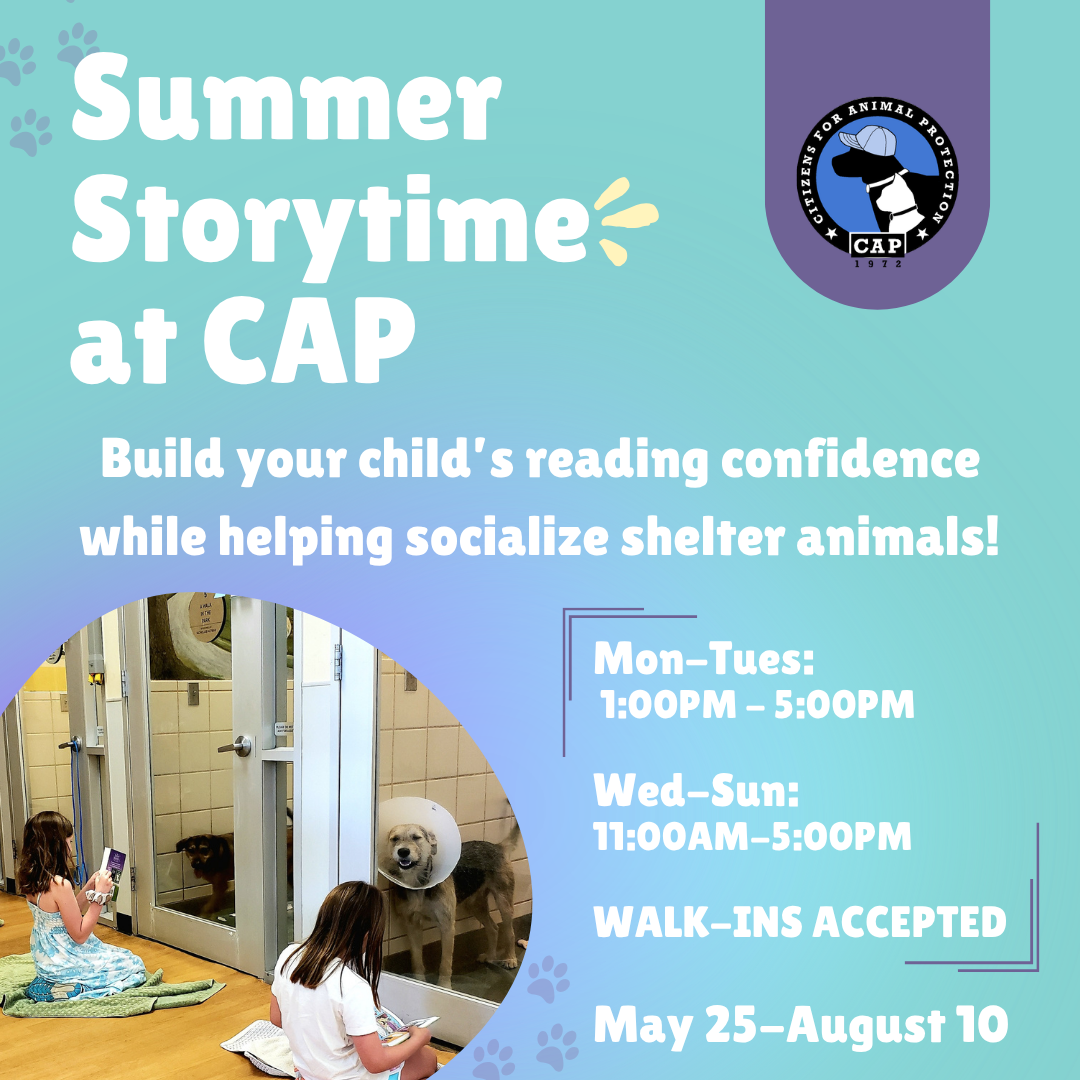 Story Time at CAP 4