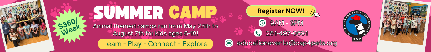 Summer Camp 2026