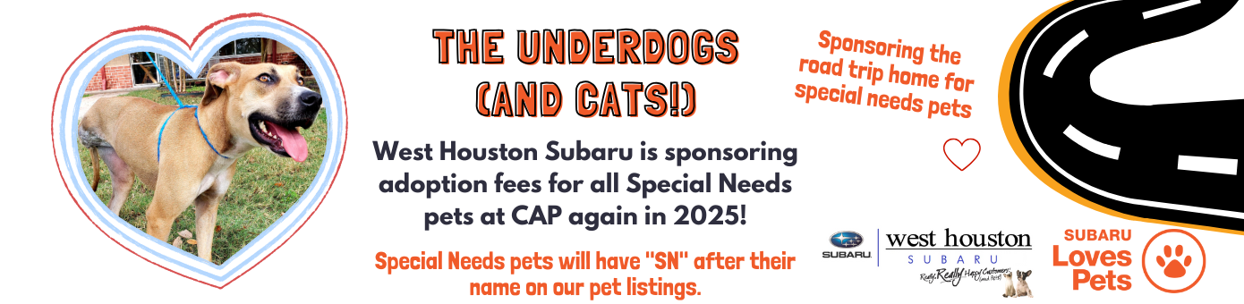 Underdogs Subaru 24 long