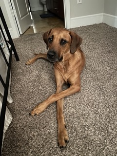 6192e410d9070 IMG 4670 Small