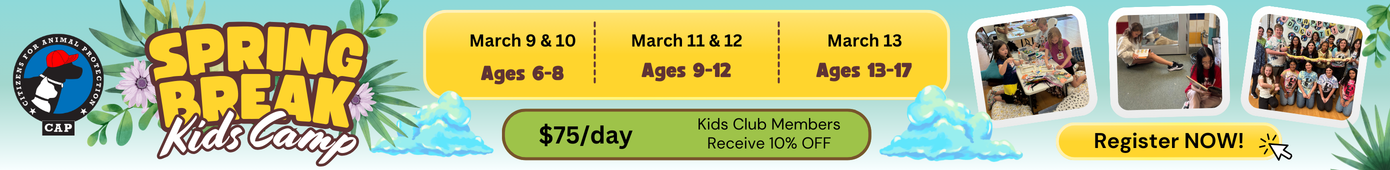 Spring Break Kids Camp 2026