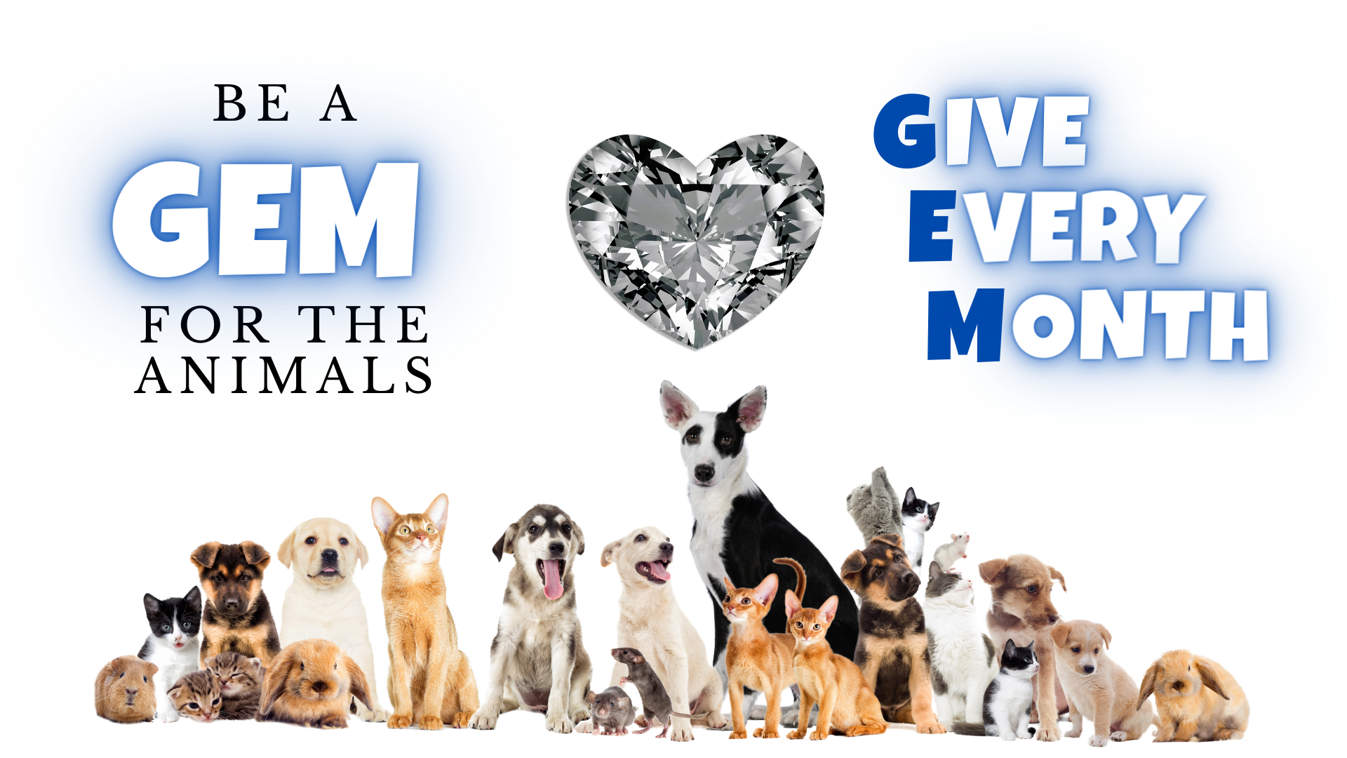 Petcare sales express holcombe