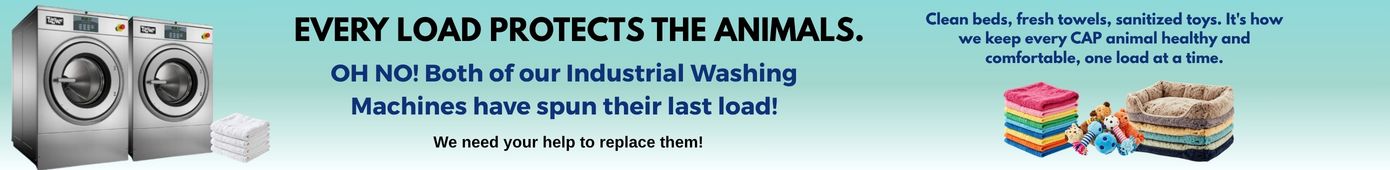 Urgent - Washing Machine Fund